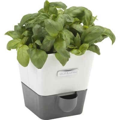 Cole & Mason H105249 Pot à herbes auto-irrigant - Jardin d'herbes d'intérieur Cole & Mason H105249 Pot à herbes auto-irrigant - Jardin d'herbes d'intérieur