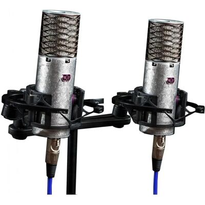 Aston Microphones Spirit Stereo Bundle - Type de microphone - Publicité Aston Microphones Spirit Stereo Bundle - Type de microphone - Publicité