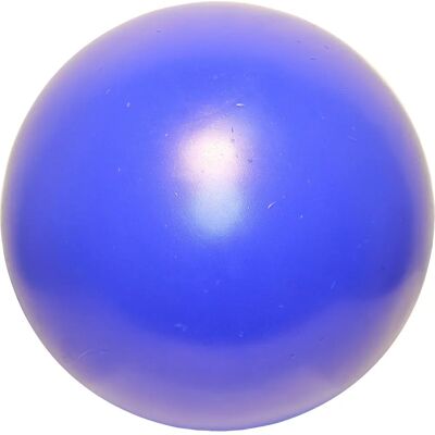 Jolly Pets Ball Push N Play Bleu - Jouet pour chien - Publicité Jolly Pets Ball Push N Play Bleu - Jouet pour chien - Publicité