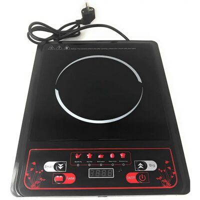 TEMPO DI SALDI Plaque à induction portable 2000W TEMPO DI SALDI Plaque à induction portable 2000W