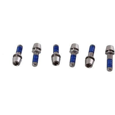 Tornillos de horquilla RITCHEY WCS C220 & Toyon - Plata Tornillos de horquilla RITCHEY WCS C220 & Toyon - Plata