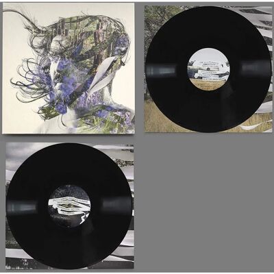 Bibio: Ribbons - 2 Vinyl LP - Music Album Bibio: Ribbons - 2 Vinyl LP - Music Album