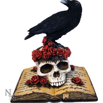 Nemesis Now - Heartaches Reflection - Vogel auf Schädel - Unisex Figur Nemesis Now - Heartaches Reflection - Vogel auf Schädel - Unisex Figur