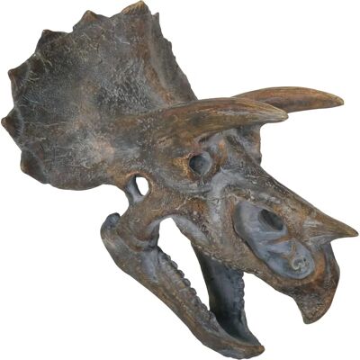 Nemesis Now Triceratops Dinosaurier Schädel - 23cm Nemesis Now Triceratops Dinosaurier Schädel - 23cm