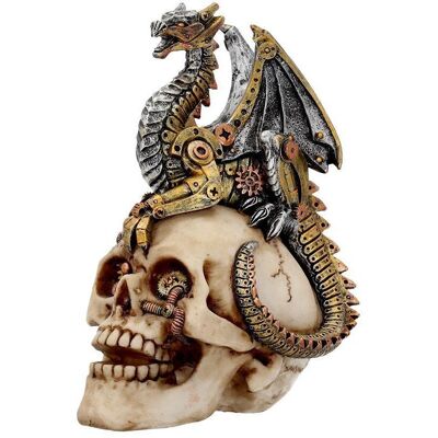 Nemesis Now Drachen Schädel Steampunk Figurine Nemesis Now Drachen Schädel Steampunk Figurine