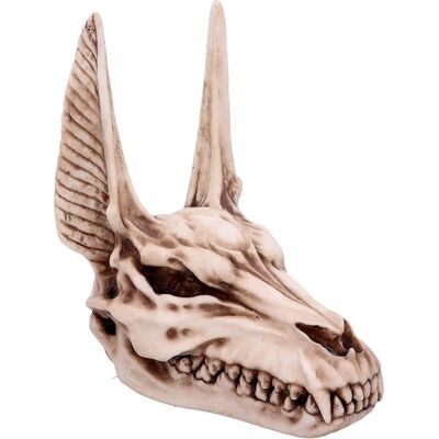 Nemesis Now Calavera de Anubis 17cm - Cráneo decorativo Nemesis Now Calavera de Anubis 17cm - Cráneo decorativo