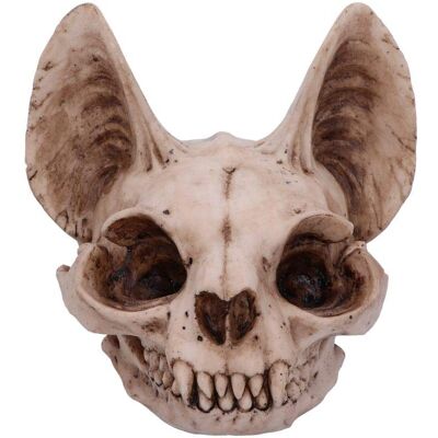 Nemesis Now Bastets Secret Cat Skull Figurine Ornament - Figúrka Nemesis Now Bastets Secret Cat Skull Figurine Ornament - Figúrka