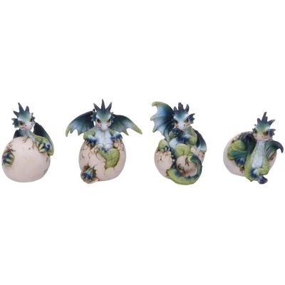 Nemesis Now Set jonge draken - Handbeschilderde resinfiguur Nemesis Now Set jonge draken - Handbeschilderde resinfiguur