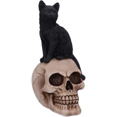 Nemesis Now Black Cat Skull Figurine - 87467 Nemesis Now Black Cat Skull Figurine - 87467