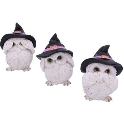 Nemesis Now Drie Wijze Gevederde Familiars - Decoratieve Figurine Nemesis Now Drie Wijze Gevederde Familiars - Decoratieve Figurine