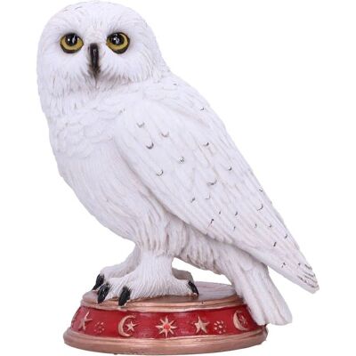 Nemesis Now Tovenaar Uil Figurine - 10cm Nemesis Now Tovenaar Uil Figurine - 10cm