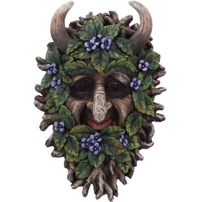 Nemesis Now Alder Wall Tree Spirit - Tree Spirit Nemesis Now Alder Wall Tree Spirit - Tree Spirit
