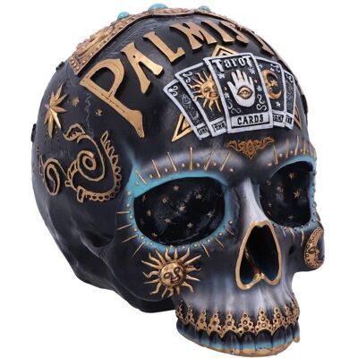 Nemesis Now Destiny Palmistry Skull - Hand-painted resin skull, 18cm - Statue Nemesis Now Destiny Palmistry Skull - Hand-painted resin skull, 18cm - Statue