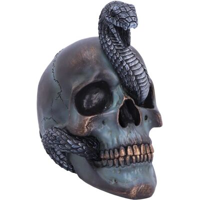 Figurine Crâne de Serpent Gothique - 87327 Figurine Crâne de Serpent Gothique - 87327