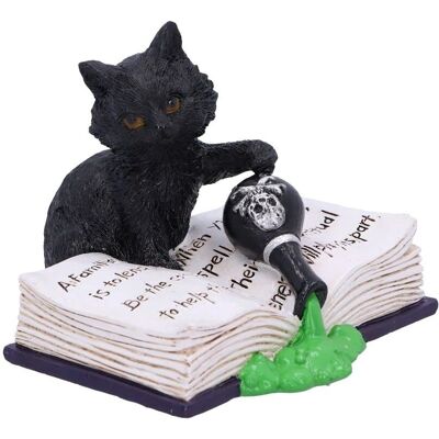 Nemesis Now Black Cat - Mischievous Feline Ornament - CO-90496 Nemesis Now Black Cat - Mischievous Feline Ornament - CO-90496