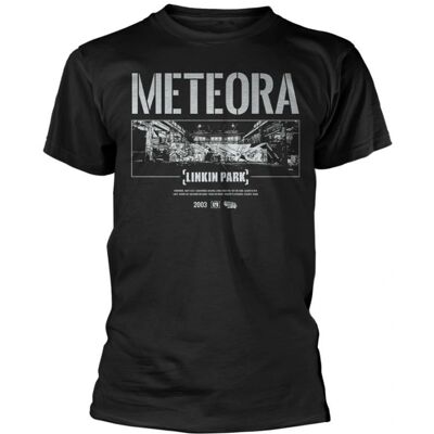 Linkin Park Meteora Väggkonst - Väggkonst Linkin Park Meteora Väggkonst - Väggkonst