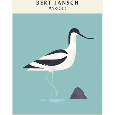 Bert Jansch Avocet - Utökad jubileumsutgåva - Musikalbum Bert Jansch Avocet - Utökad jubileumsutgåva - Musikalbum