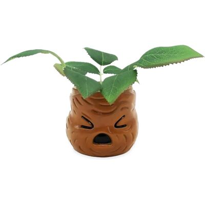 EED Distribution Harry Potter Mandrake Face 6 pouces Pot en céramique - Pot de plante - Publicité EED Distribution Harry Potter Mandrake Face 6 pouces Pot en céramique - Pot de plante - Publicité