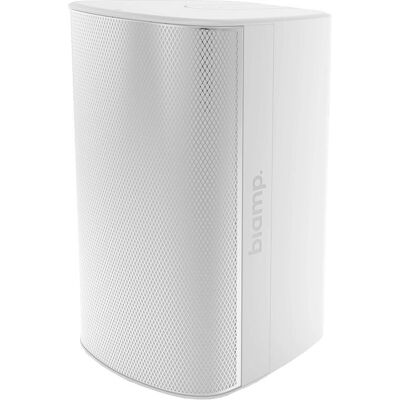 Biamp Desono EX-S10 - Enceinte filaire 2 voies 300 W - Publicité Biamp Desono EX-S10 - Enceinte filaire 2 voies 300 W - Publicité