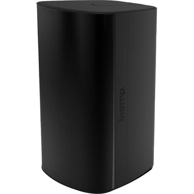 Biamp Desono EX-S10 - Enceinte filaire 2 voies - 300 W - Publicité Biamp Desono EX-S10 - Enceinte filaire 2 voies - 300 W - Publicité