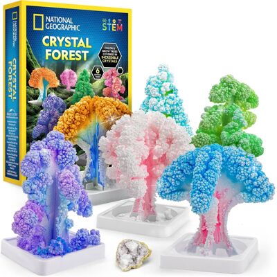 National Geographic - Crystal Growing Kit - 6 Trees - Craft Kit National Geographic - Crystal Growing Kit - 6 Trees - Craft Kit