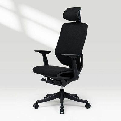 FlexiSpot Bürostuhl - Verstellbare Armlehnen, Lendenwirbelstütze, Neigbarer Rücken FlexiSpot Bürostuhl - Verstellbare Armlehnen, Lendenwirbelstütze, Neigbarer Rücken