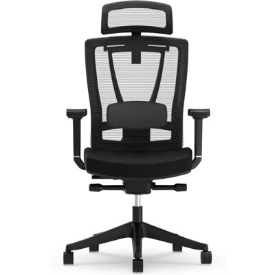 Flexispot Ergonomischer Bürostuhl BS14 - Bürostuhl Flexispot Ergonomischer Bürostuhl BS14 - Bürostuhl