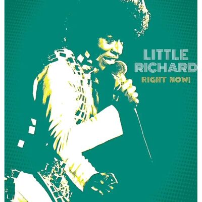 Little Richard Sunflare LP - Jaspis Geel Vinyl - RSD 2024 - Vinylalbum Little Richard Sunflare LP - Jaspis Geel Vinyl - RSD 2024 - Vinylalbum