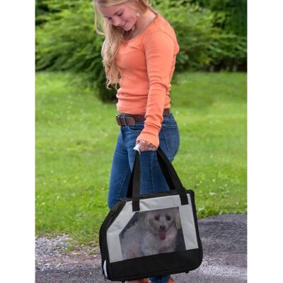 Rosewood Pet Gear Park Avenue Canvas Carrier 22.86x40.64x33.02cm Rosewood Pet Gear Park Avenue Canvas Carrier 22.86x40.64x33.02cm