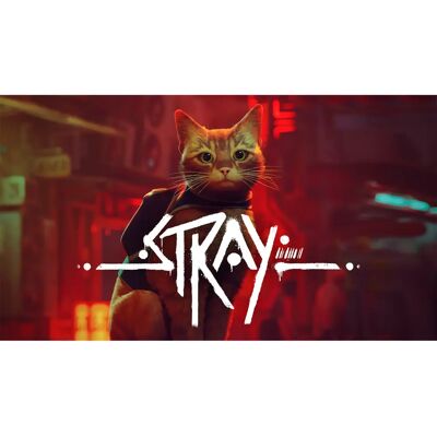 Stray - Switch - Publicité Stray - Switch - Publicité