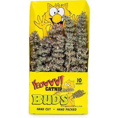 Yeowww! Katzenspielzeug - Kraftvolles Bio-Katzenminze für drinnen & draußen Yeowww! Katzenspielzeug - Kraftvolles Bio-Katzenminze für drinnen & draußen