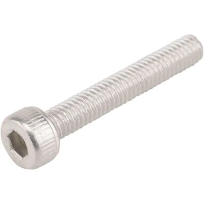 Wolf Tooth B-Screw - Silver - 25mm - B-Screw Wolf Tooth B-Screw - Silver - 25mm - B-Screw