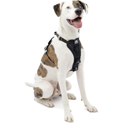 Kurgo Medium Black Smart Dog Harness - Crash Tested Kurgo Medium Black Smart Dog Harness - Crash Tested