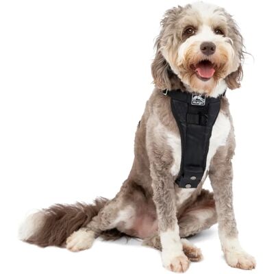 Kurgo Large Black Smart Harness - Car Safety Dog Seatbelt Kurgo Large Black Smart Harness - Car Safety Dog Seatbelt