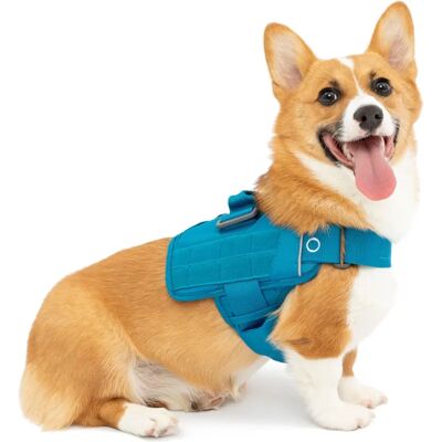 Kurgo RSG Townie Hundesele - Hundesele Kurgo RSG Townie Hundesele - Hundesele