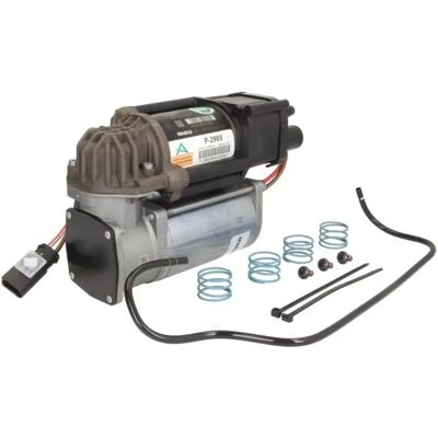 Arnott Compressore - Sospensione ad Aria con Asciugatore per BMW 5, 7 Arnott Compressore - Sospensione ad Aria con Asciugatore per BMW 5, 7