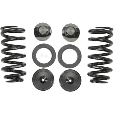 Arnott C-3080 Ressorts de suspension arrière Mercedes-Benz E-Class T-modèle Arnott C-3080 Ressorts de suspension arrière Mercedes-Benz E-Class T-modèle