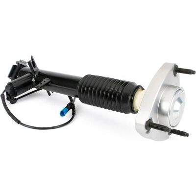 Arnott BMW Shock Absorber - Rear Right - Oil Pressure Arnott BMW Shock Absorber - Rear Right - Oil Pressure