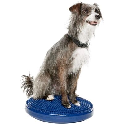 FitPAWS Hundbalansskiva - 36cm Blå - Balans- & Terapiutrustning FitPAWS Hundbalansskiva - 36cm Blå - Balans- & Terapiutrustning