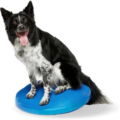 FitPAWS Balansskiva - 56cm för Hundar FitPAWS Balansskiva - 56cm för Hundar