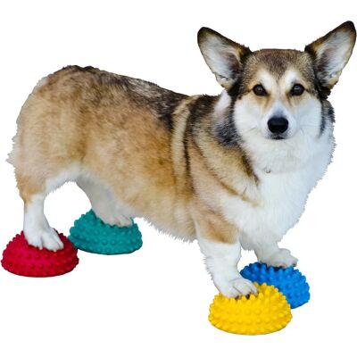 FitPAWS Flerfärgade Balans-Podser för Djur - Hundträning FitPAWS Flerfärgade Balans-Podser för Djur - Hundträning