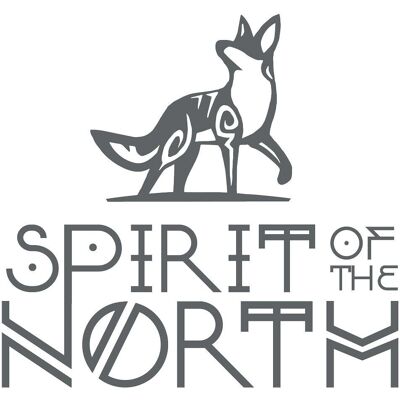 Spirit of The North - Édition Améliorée (PS5) - Publicité Spirit of The North - Édition Améliorée (PS5) - Publicité