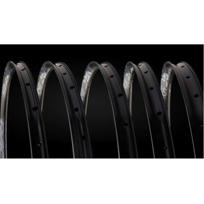 Race Face Arc Offset 30mm llanta Race Face Arc Offset 30mm llanta