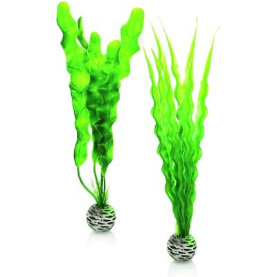 Oase Biorb Easy Plant Green Medium 2pack - Akvarieväxter Oase Biorb Easy Plant Green Medium 2pack - Akvarieväxter