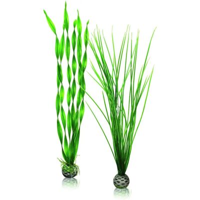 Oase Biorb Easy Plant Green Tall 2pack - Decorative Plant Set Oase Biorb Easy Plant Green Tall 2pack - Decorative Plant Set