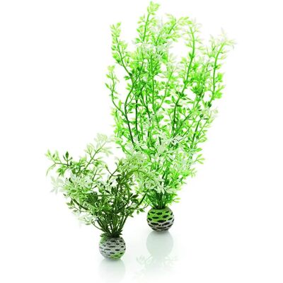 biOrb Winterblume Set 2 - Akvárium dísz biOrb Winterblume Set 2 - Akvárium dísz