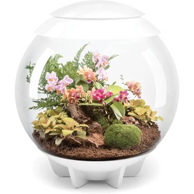 biOrb Air 60 Fehér Automatikus Terrárium - Törpe növényekhez alkalmas biOrb Air 60 Fehér Automatikus Terrárium - Törpe növényekhez alkalmas