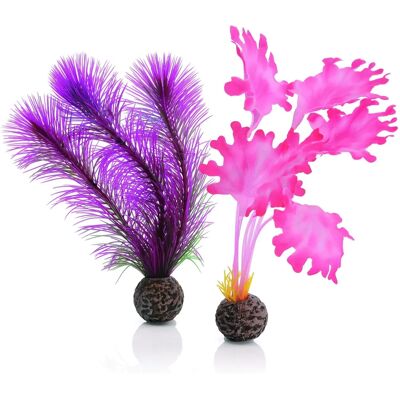 Oase-Pumpen Wuebke Soehne GmbH & Co biOrb Seetang Set klein pink - Aquariumdecoratie Oase-Pumpen Wuebke Soehne GmbH & Co biOrb Seetang Set klein pink - Aquariumdecoratie