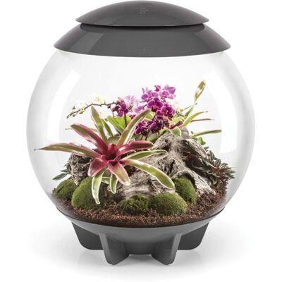 biOrb AIR 60 Litres Terrarium Automatique - Gris - Publicité biOrb AIR 60 Litres Terrarium Automatique - Gris - Publicité