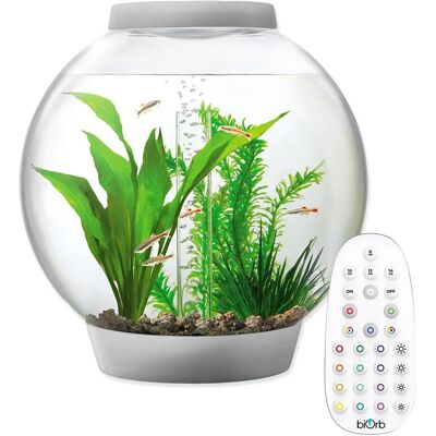 biOrb - Baby 15L - White - MCR LED Lighting - Aquarium biOrb - Baby 15L - White - MCR LED Lighting - Aquarium